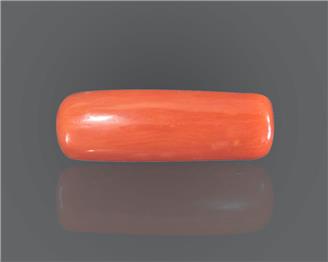 Natural Coral  8.66RTS-27553